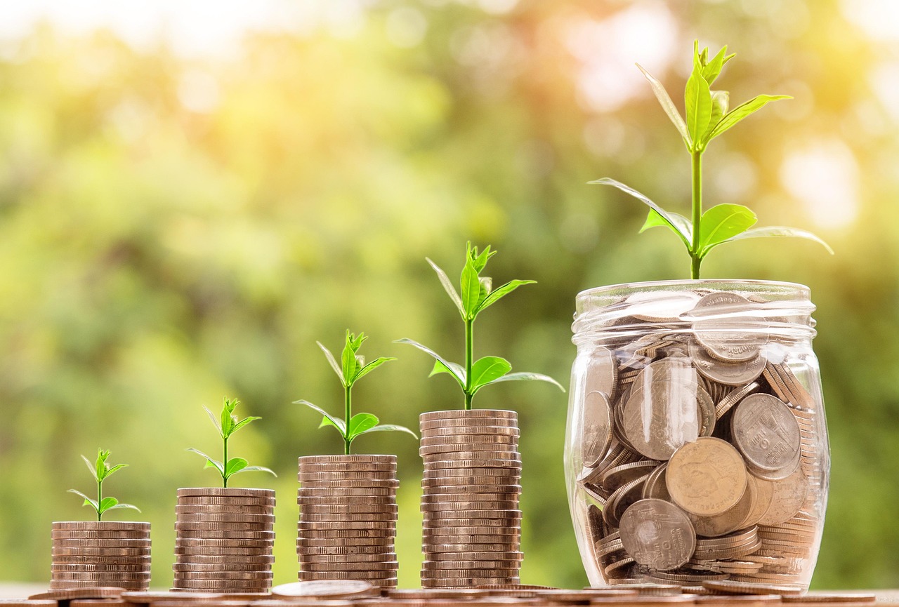 お金が横に積み重なっていて植物が生えている。